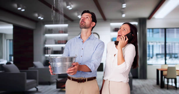 Best Fire Damage Restoration  in Mbria, CA